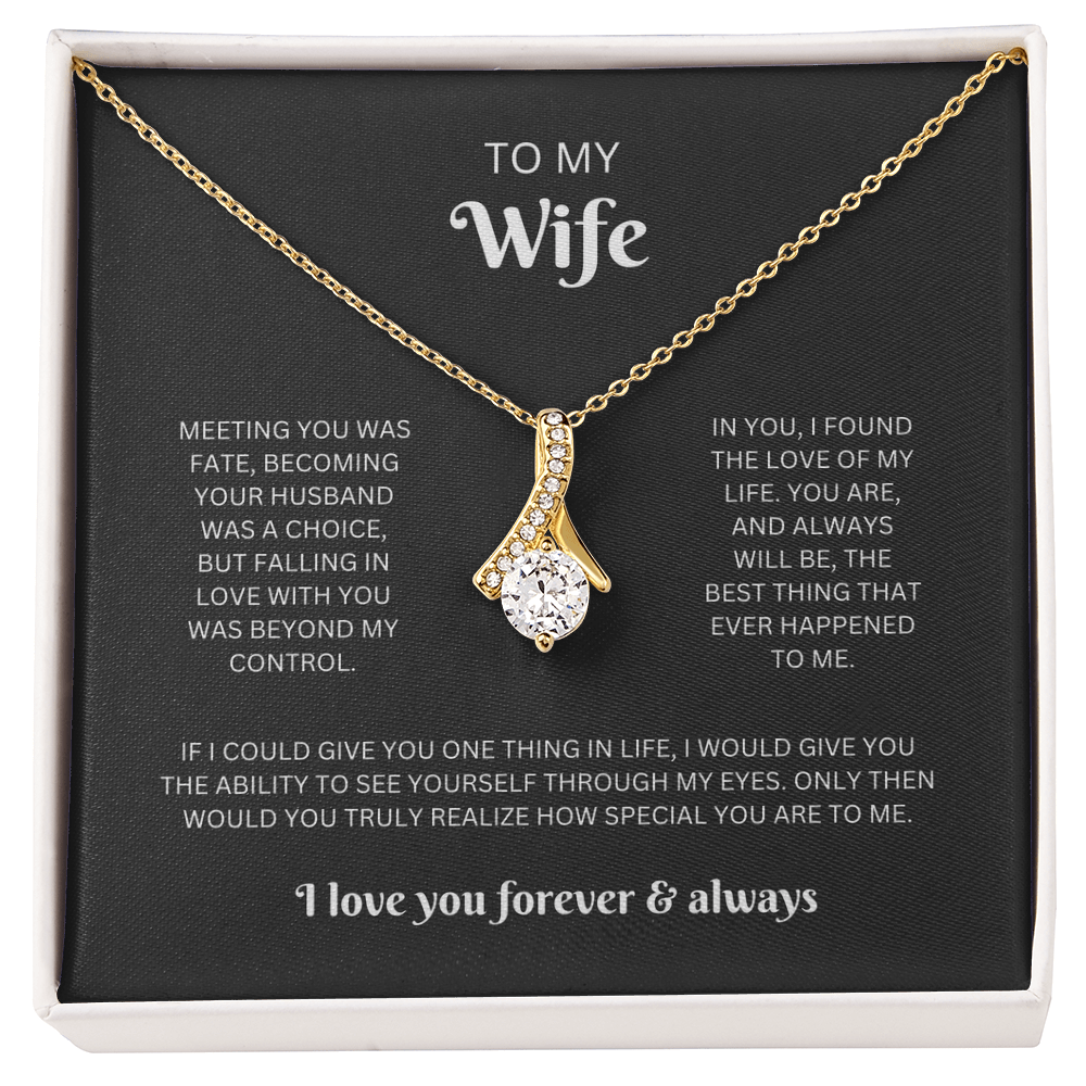 To My Wife (Meeting You Was Fate)